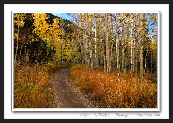 'Trail to Red Pine' ~ Little Cottonwood Canyon