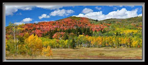 'Meadow of Hues' ~ Uinta National Forest