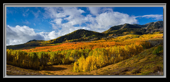 'Mountainside of Color' ~ Wasatch Nat'l Forest