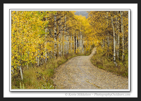 'Road of Aspen Gold' ~ Uinta Nat'l Forest