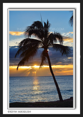 'Palm Sunset' ~ Waianae, Oahu