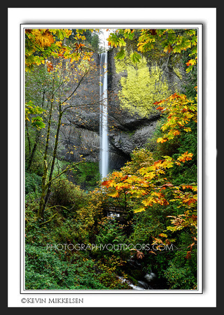 'Fall at Latourell Falls' ~ Columbia River Gorge