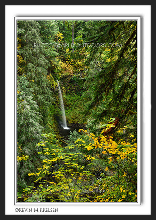 'Curly Creek Falls' ~ Gifford-Pinchot Nat'l Forest