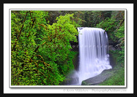 'Middle North Falls' - Silver Falls State Park