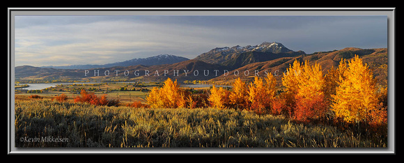 'Highlands Aspens' - Ogden Valley, Utah