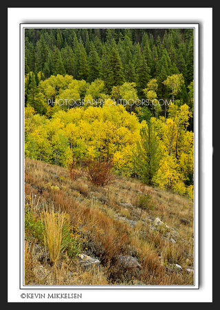 'Cache Valley Autumn' ~ Logan Canyon