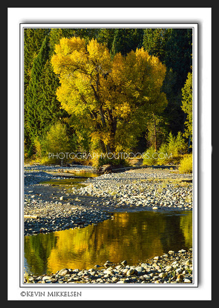 'Pilgrim Creek Reflection' ~ Grand Teton Nat'l Park
