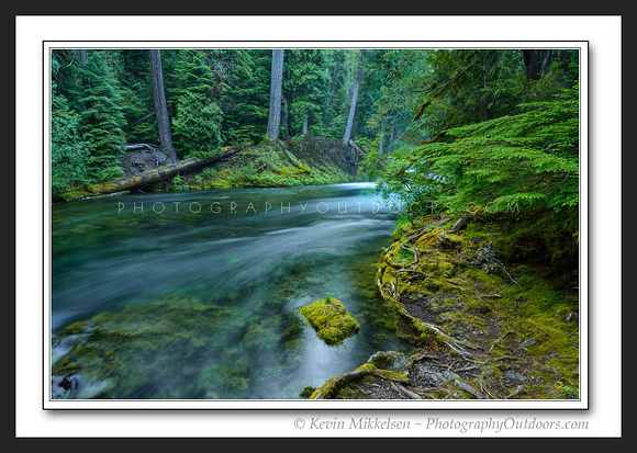 'McKenzie River Evening' ~ Willamette Nat'l Forest/Oregon