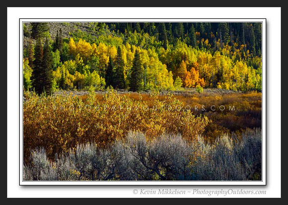 'The Color of Autumn' ~ High Uinta Mountains