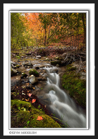 'Niotche Pass Autumn' ~ Fish Lake Nat'l Forest