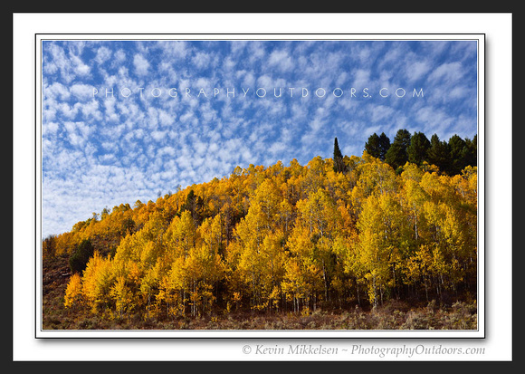 'Mottled Aspen Sky' ~ Temple Fork/Logan Canyon
