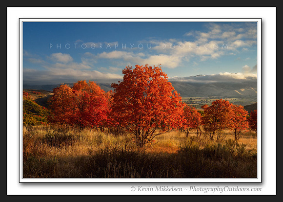 'Trappers Loop Autumn' ~ near Snowbasin