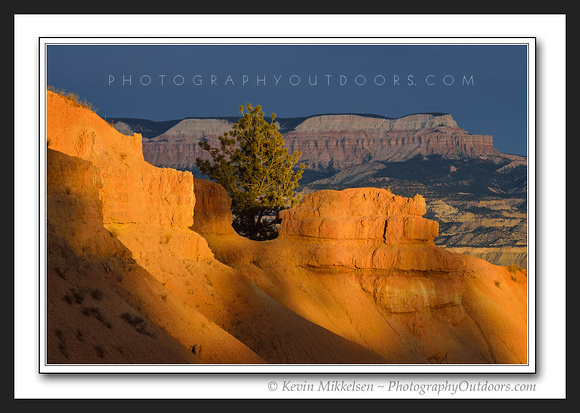 'Scattered Light' ~ Bryce Canyon