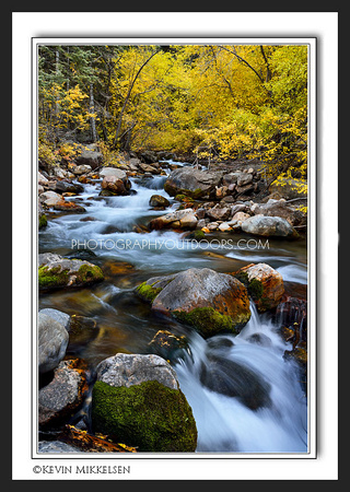 'Autumn Stream' ~ Big Cottonwood Canyon
