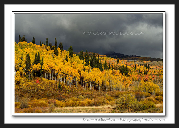 'Color Contrast' ~ Scenic Byway 89