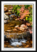'Creekside Autumn' ~ Mirror Lake