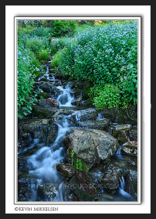 'Blue Bell Falls' ~ Albion Basin/Wasatch Nat'l Forest
