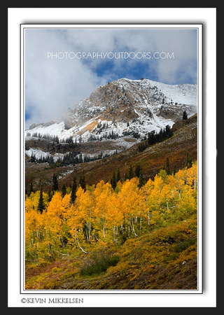 "Prime Spectacle' ~ Little Cottonwood Canyon