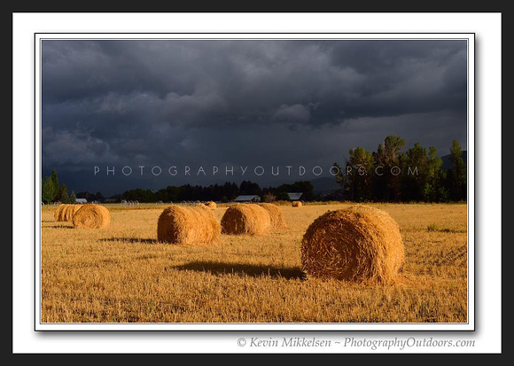 'Harvest Storm' ~ Ogden Valley, Ut