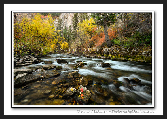 'The Best of Autumn' ~ Logan Canyon