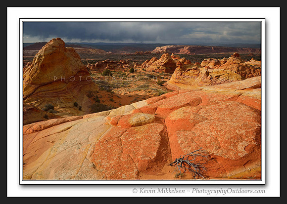 'Desert Storm' ~ Vermilion Cliffs Wilderness