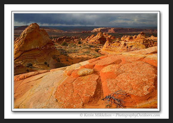 'Desert Storm' ~ Vermilion Cliffs Wilderness