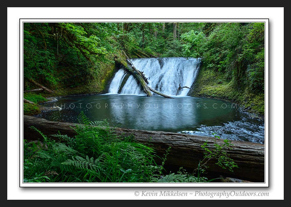 'Lower North Falls' ~ Silver Falls State Park