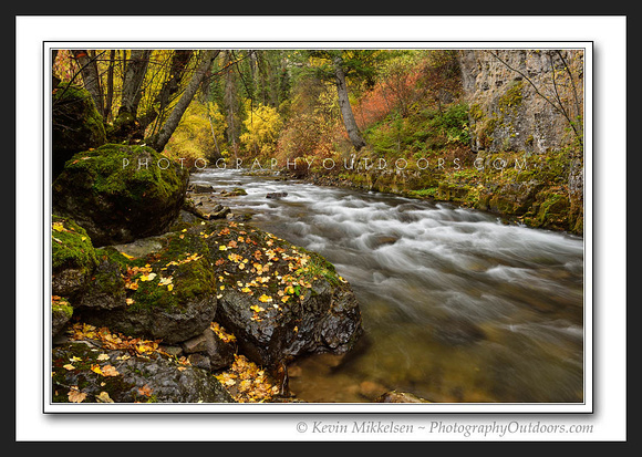 'Autumn on Logan River' ~ Scenic Byway 89