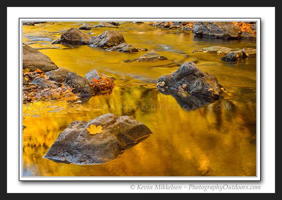 'Autumns Glow' ~ Ogden River