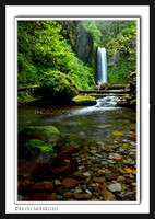 'Weisendanger Falls' ~ Columbia River Scenic Byway