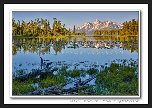 'Heron Pond Reflection' ~ Grand Teton Nat'l Park