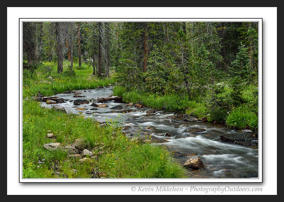'Forest Stream' ~ High Uinta Mountains