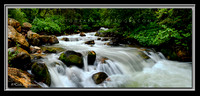 'Summer Stream' ~ Big Cottonwood Canyon