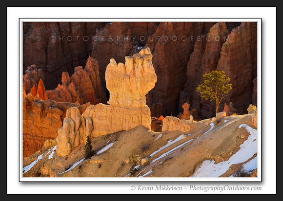 'Living in Stone' ~ Bryce Canyon Nat'l Park