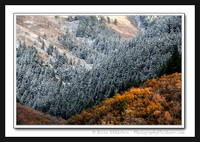 'The Last Holdout' ~ North Ogden Canyon