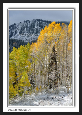 'Warmth and Cold' ~ Wasatch Nat'l Forest