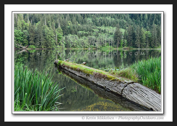 'Beaver Lake Reflection' ~ near Forks, WA