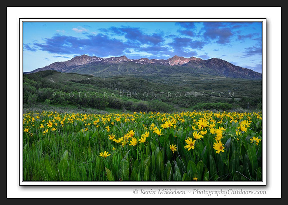 'Spring Sunrise' ~ Snowbasin/Mt Ogden