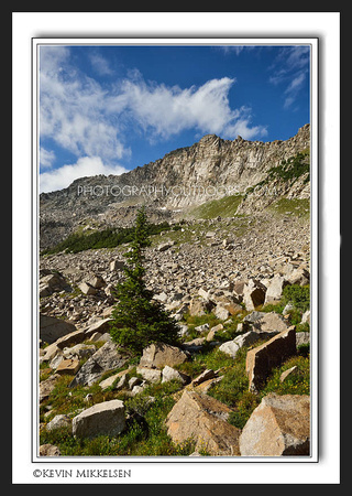'White Baldy Peak' ~ Wasatch Mountains
