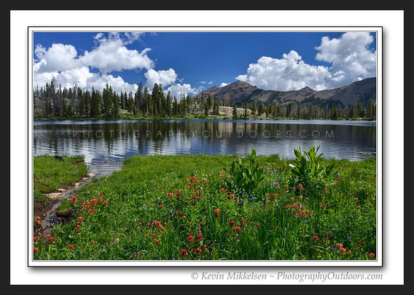 'Ruth Lake in Bloom' ~ High Uinta Mountains