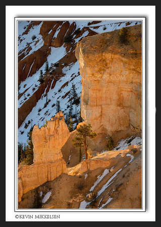 'Spires of Light' ~ Bryce Canyon Nat'l Park
