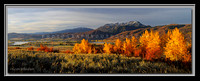 'Highlands Aspens' - Ogden Valley, Utah