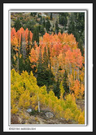 'Wasatch Color Scheme' ~ near Alta, Utah