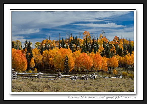 'Country Autumn' ~ Dixie Nat'l Forest
