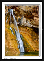 'Desert Oasis' ~ Lower Calf Creek Falls