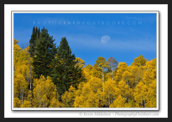 'Autumn Moon' ~ Scenic Byway Hwy 89