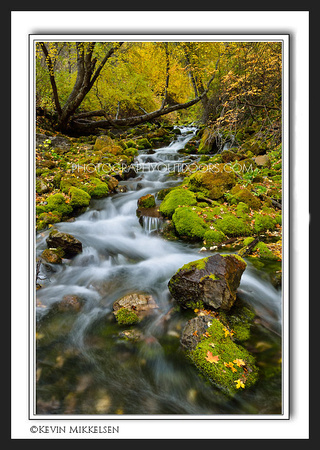 'Autumns Creek' ~ Logan Canyon