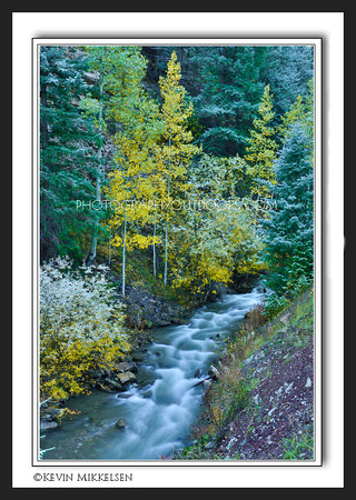 'Winters First Touch' ~ Wasatch Nat'l Forest