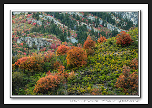 'September Surprise' ~ Ogden Canyon