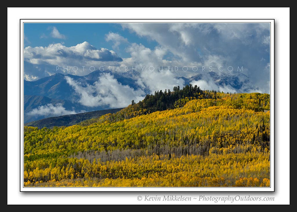 'Sea of Yellow' ~ Guardsmanns Pass/Uinta Nat'l Forest